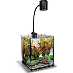 21年 水槽用ライトのおすすめ人気ランキング14選 Mybest 21年 水槽用ライトのおすすめ人気ランキング14選 Mybest