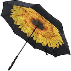 21年 レディース用雨傘のおすすめ人気ランキング27選 Mybest 21年 レディース用雨傘のおすすめ人気ランキング27選 Mybest