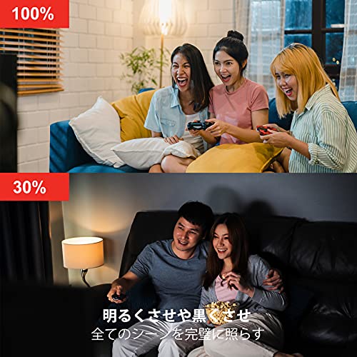 スマート LED電球 13