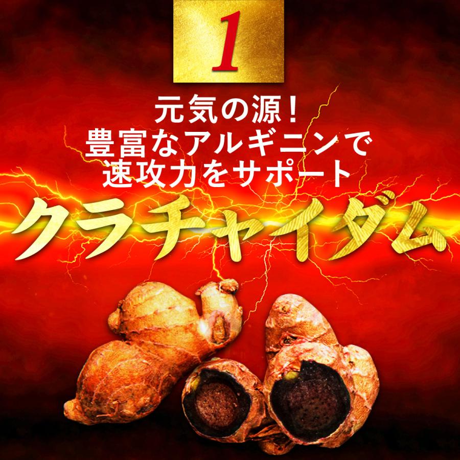 闘王（ファイターキング） 2