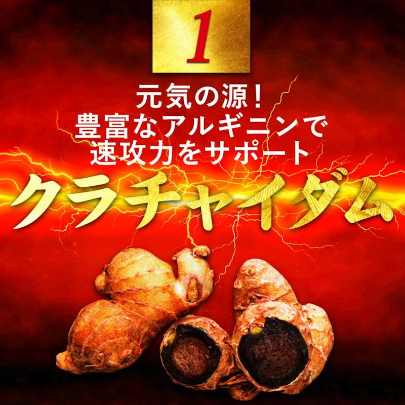 闘王(ファイターキング) 2