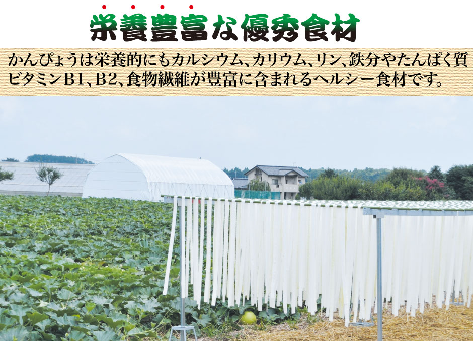 お徳用かんぴょう 2袋セット  3