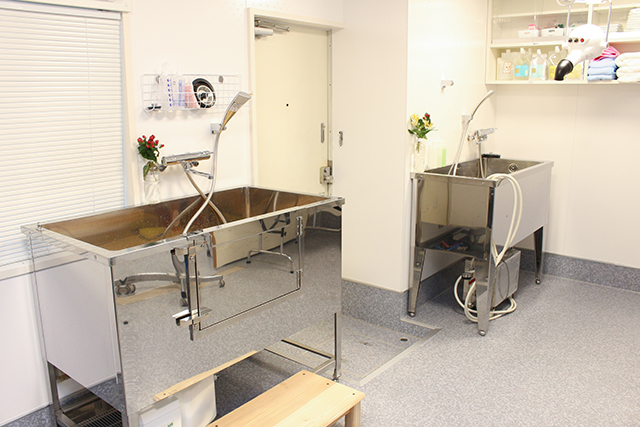 東京都内のトリミングサロンおすすめ人気ランキング10選 送迎サービスがあるお店も Mybest