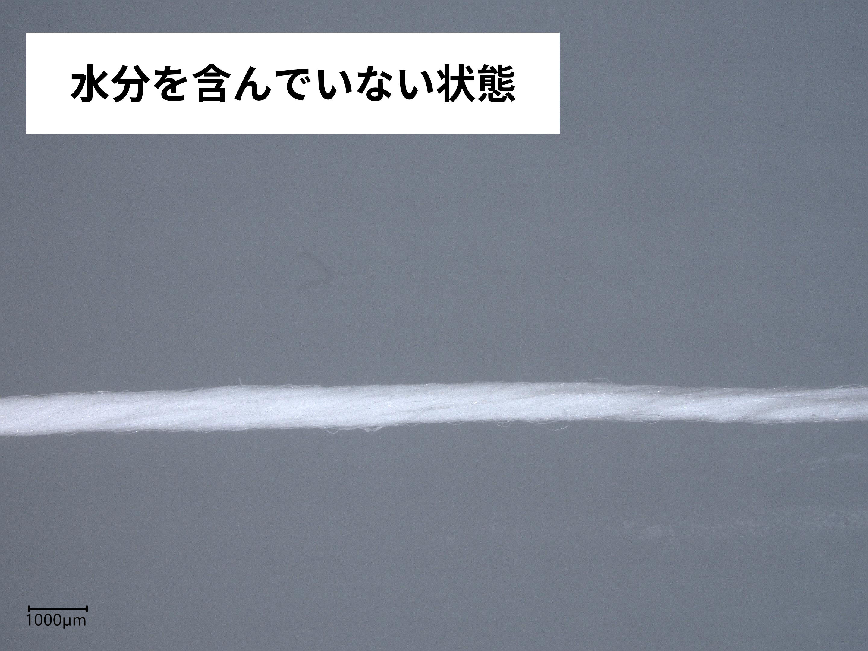 ルシェロ フロス  3