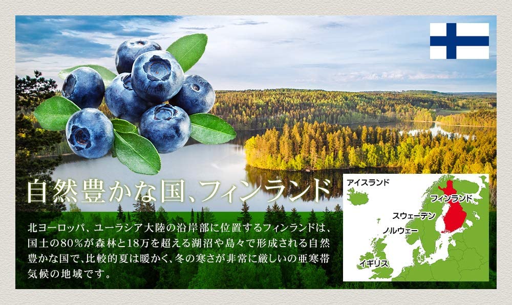 ビルベリー 4