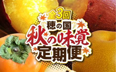 全3回 穂の国 秋の味覚定期便 1