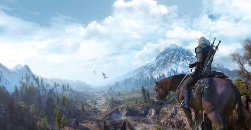 ウィッチャー3 ワイルドハント ゲームオブザイヤーエディション 5