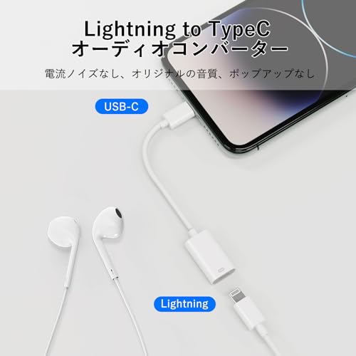 ライトニング用Type-C変換アダプタのおすすめ人気ランキング【2025年11