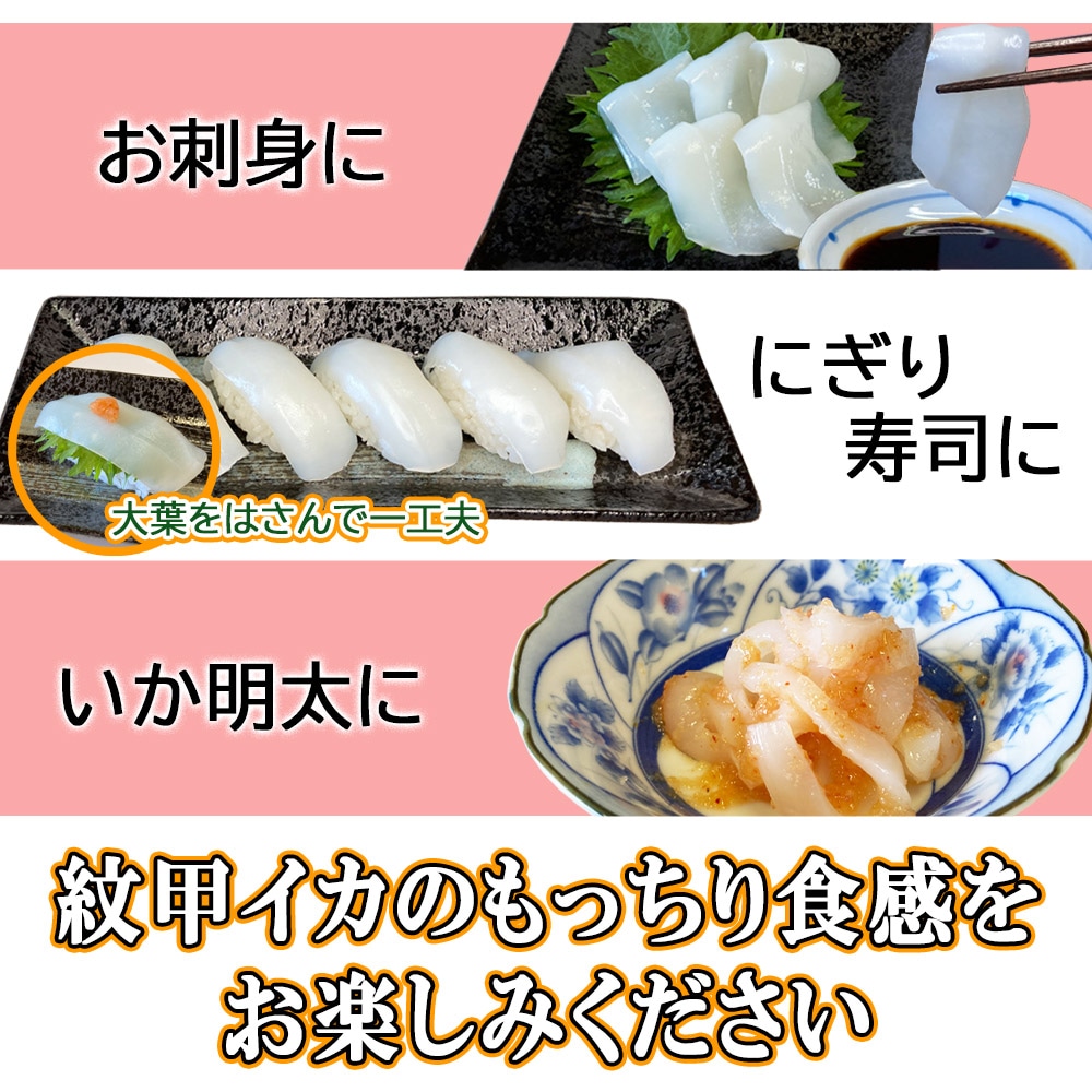 紋甲イカ刺身 10