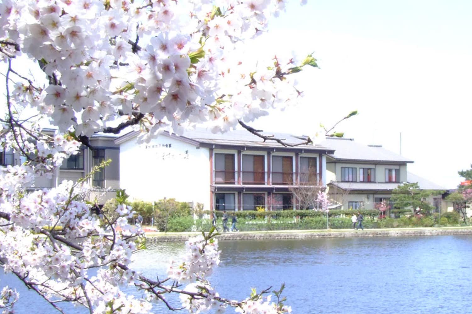 白鳥の宿　割烹旅館　ますがた荘 1