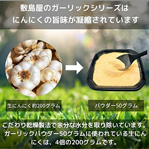 乾燥にんにく 粉末タイプ ガーリックパウダー 5