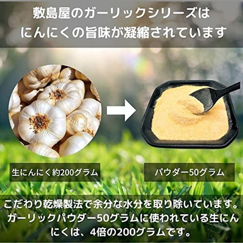 乾燥にんにく 粉末タイプ ガーリックパウダー 5