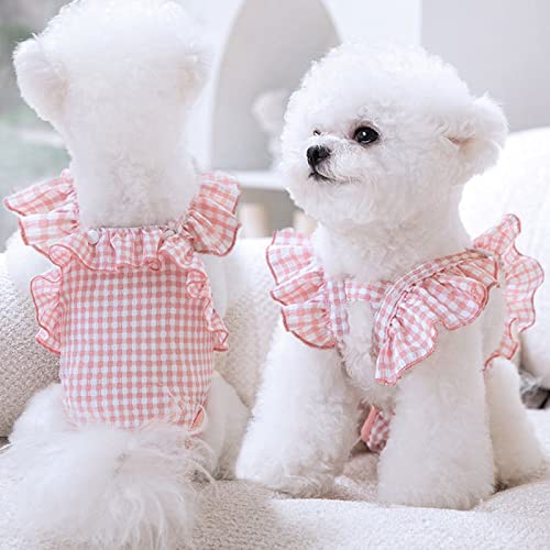 犬用生理パンツ  2