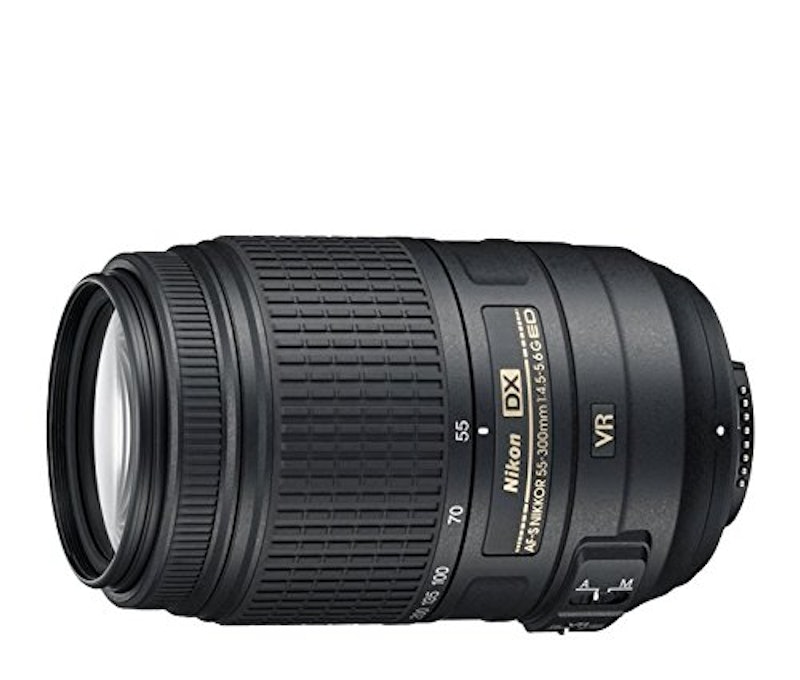 AF-S DX NIKKOR 55-300mm f/4.5-5.6G ED VR 1