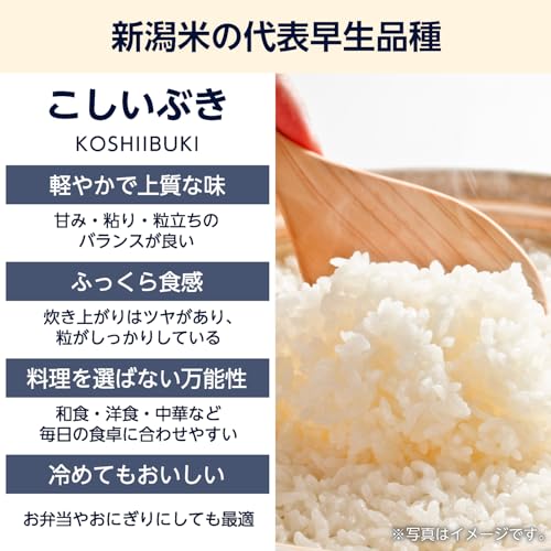 こしいぶき 3