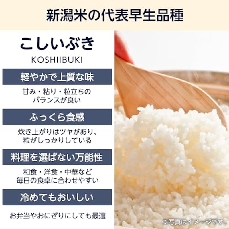 こしいぶき 3