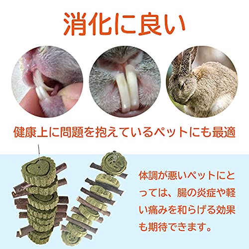 うさぎ 販売済み ペット 噛む 痛いか