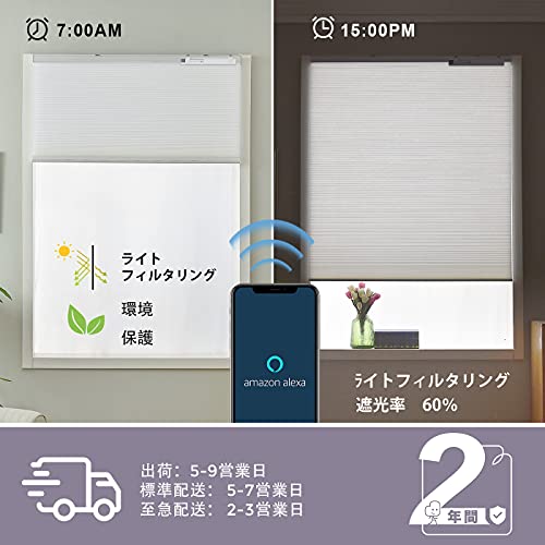 ハニカム・電動スクリーン 2