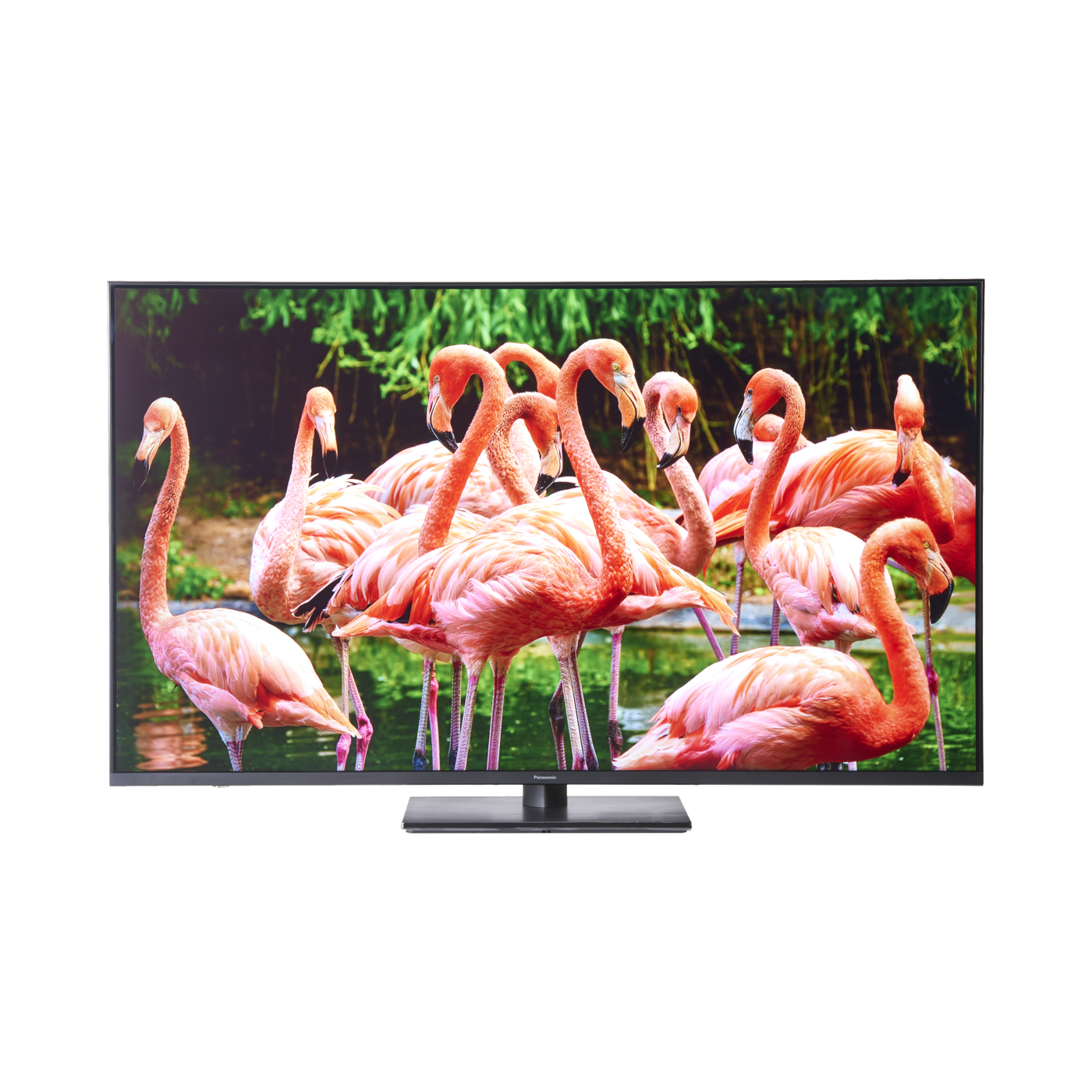 パナソニック VIERA（ビエラ）の55インチテレビのおすすめ人気