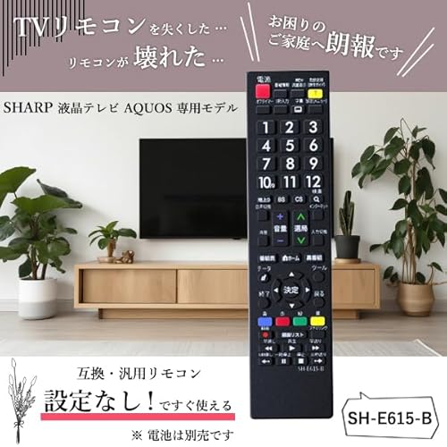 リモコン 2
