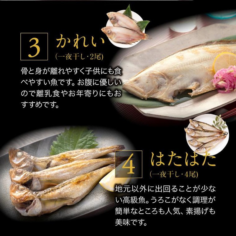 干物セット 5