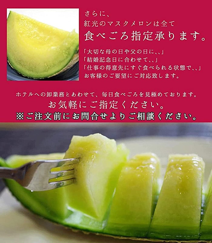 静岡産 クラウンマスクメロン 5