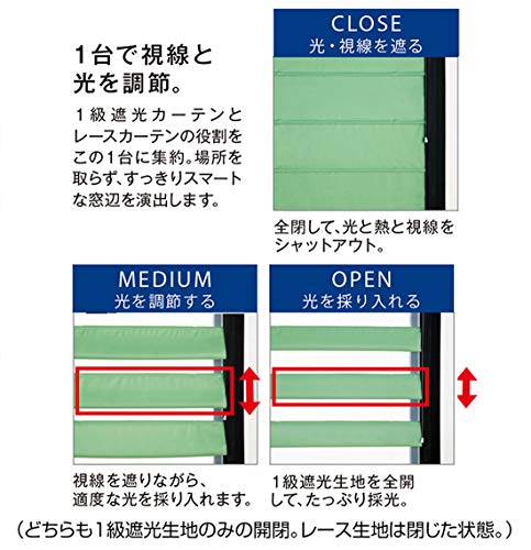 ブラインド 6