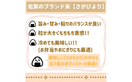無洗米さがびより 定期便 3