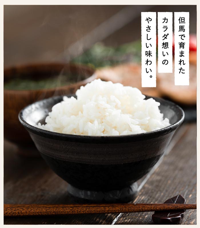 パックご飯 コウノトリ育むお米 5