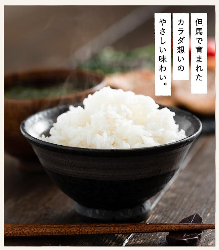 パックご飯 コウノトリ育むお米 5