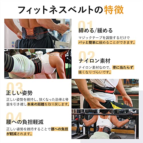 フィットネスベルト 5