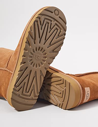CLASSIC SHORT II 4