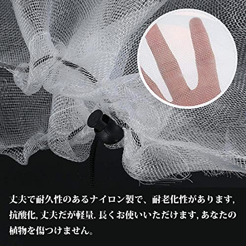 3枚入り 植物保護カバー 2