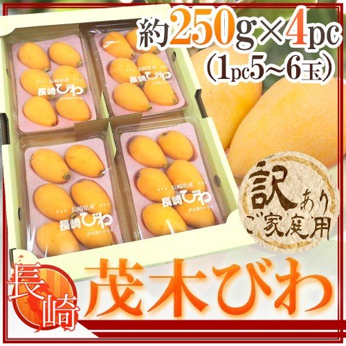 茂木びわ 訳あり　 2