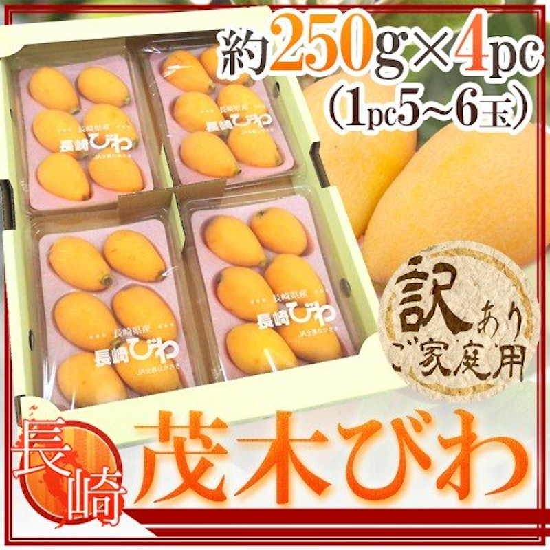 茂木びわ 訳あり 2