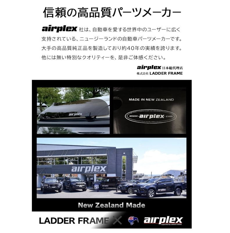 ランドクルーザー プラド専用バグガード 6