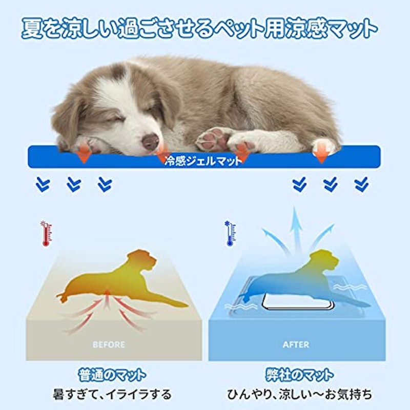 22年 犬クールマットのおすすめ人気ランキング38選 Mybest 22年 犬クールマットのおすすめ人気ランキング38選 Mybest