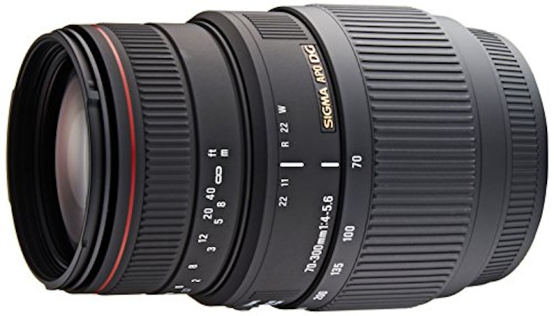 APO 70-300mm F4-5.6 DG MACRO 1