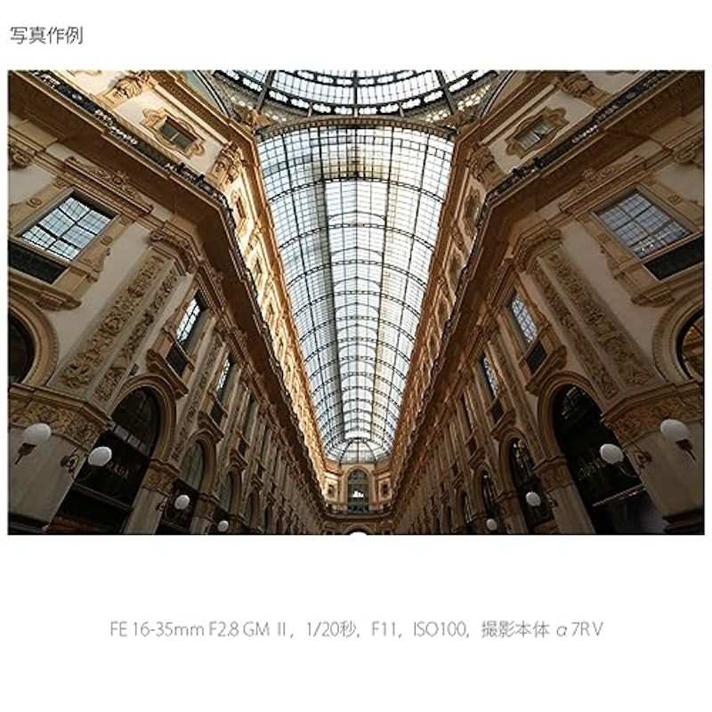 FE 16-35mm F2.8 GM II 10