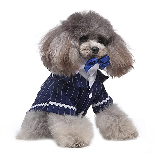 犬用タキシード 4