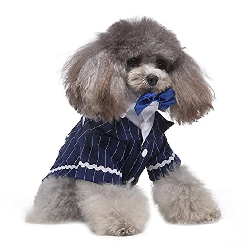 犬用タキシード 4
