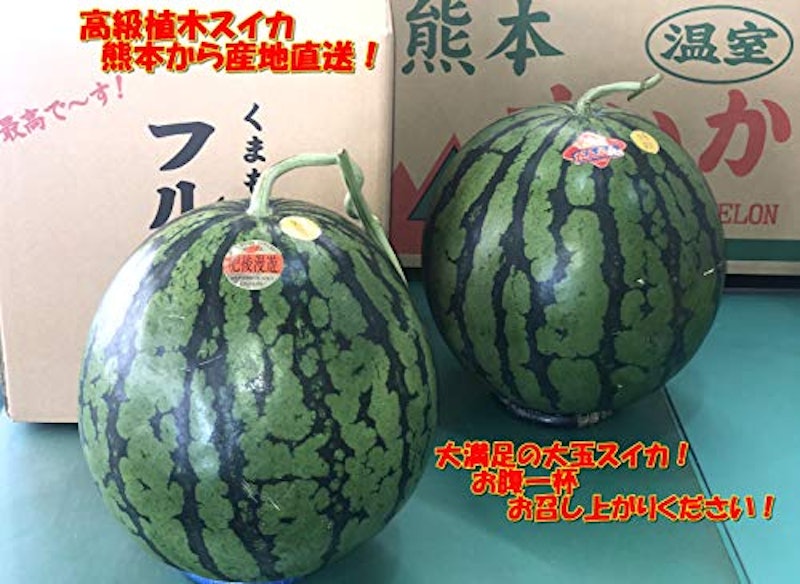 高級植木スイカ 1