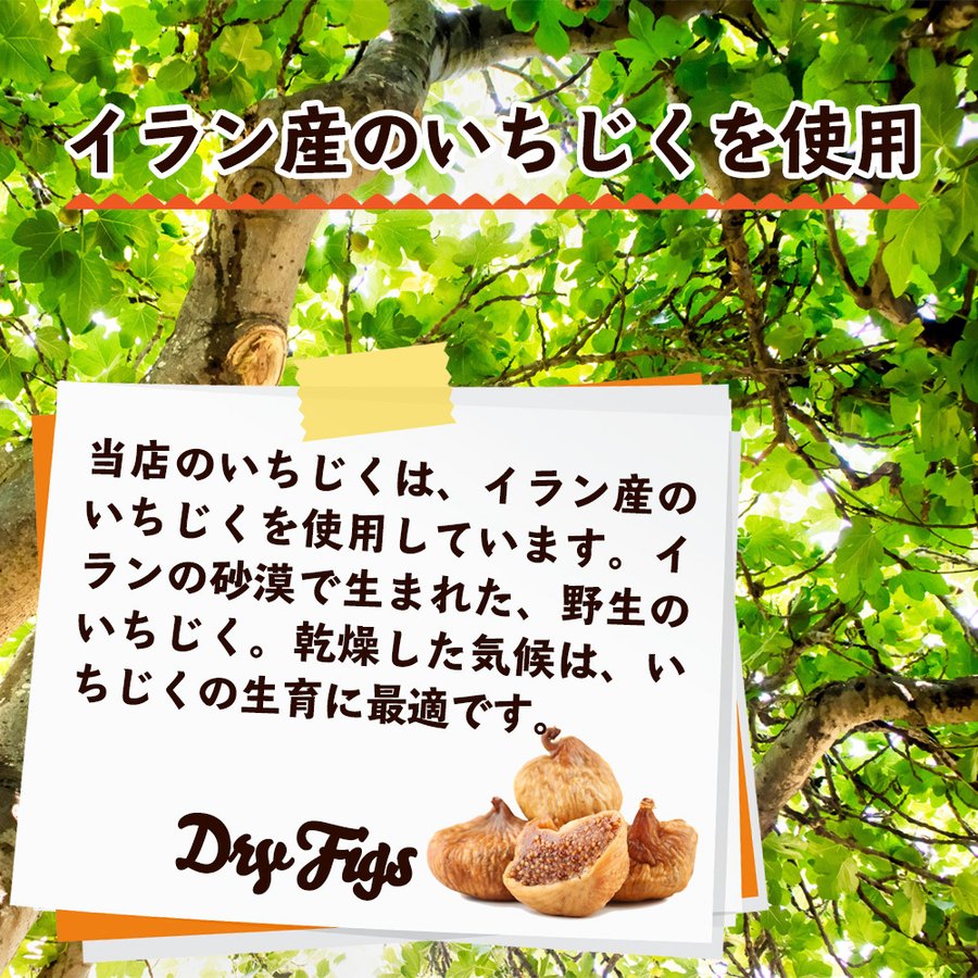 割れいちじく 7