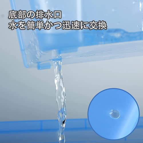 タートルボックス 2