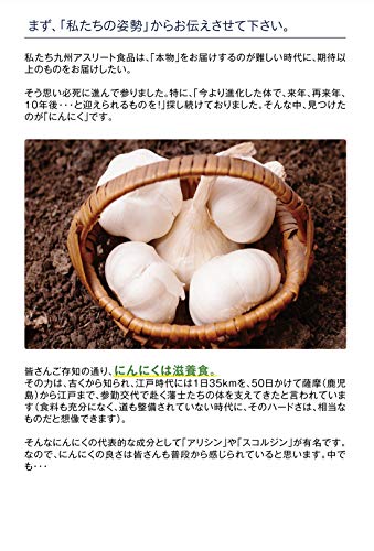ミルク牡蠣サプリメント にんにく強化 3