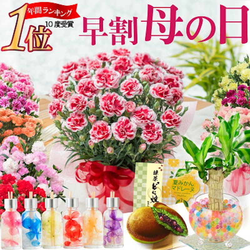 22年 母の日向けカーネーション鉢植えのおすすめ人気ランキング40選 Mybest 22年 母の日向けカーネーション鉢植えのおすすめ人気ランキング40選 Mybest