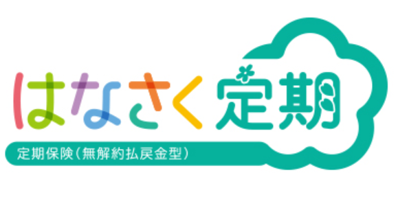 掛け捨て保険のおすすめ 2