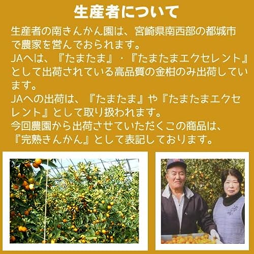 宮崎産 完熟 きんかん 5