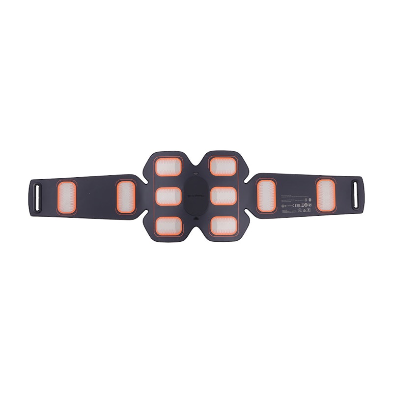 Abs Belt 2