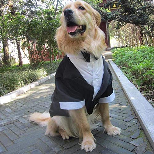大型犬のタキシード服 3